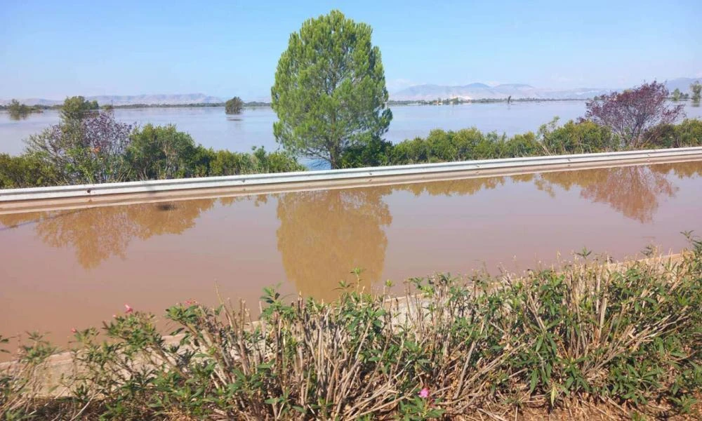  Θεσσαλία: Δημοσιεύθηκε στο ΦΕΚ η ΠΝΠ για την αναδρομική αναστολή πλειστηριασμών στις πληγείσες περιοχές